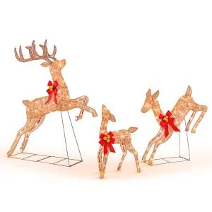 3 PCS Lighted Reindeer for Christmas Decoration