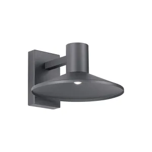 Ash 12 In. LED Hi-Output Outdoor Wall Sconce 863 Lumens 3000K Surge Protection Gray Finish Clear Lens