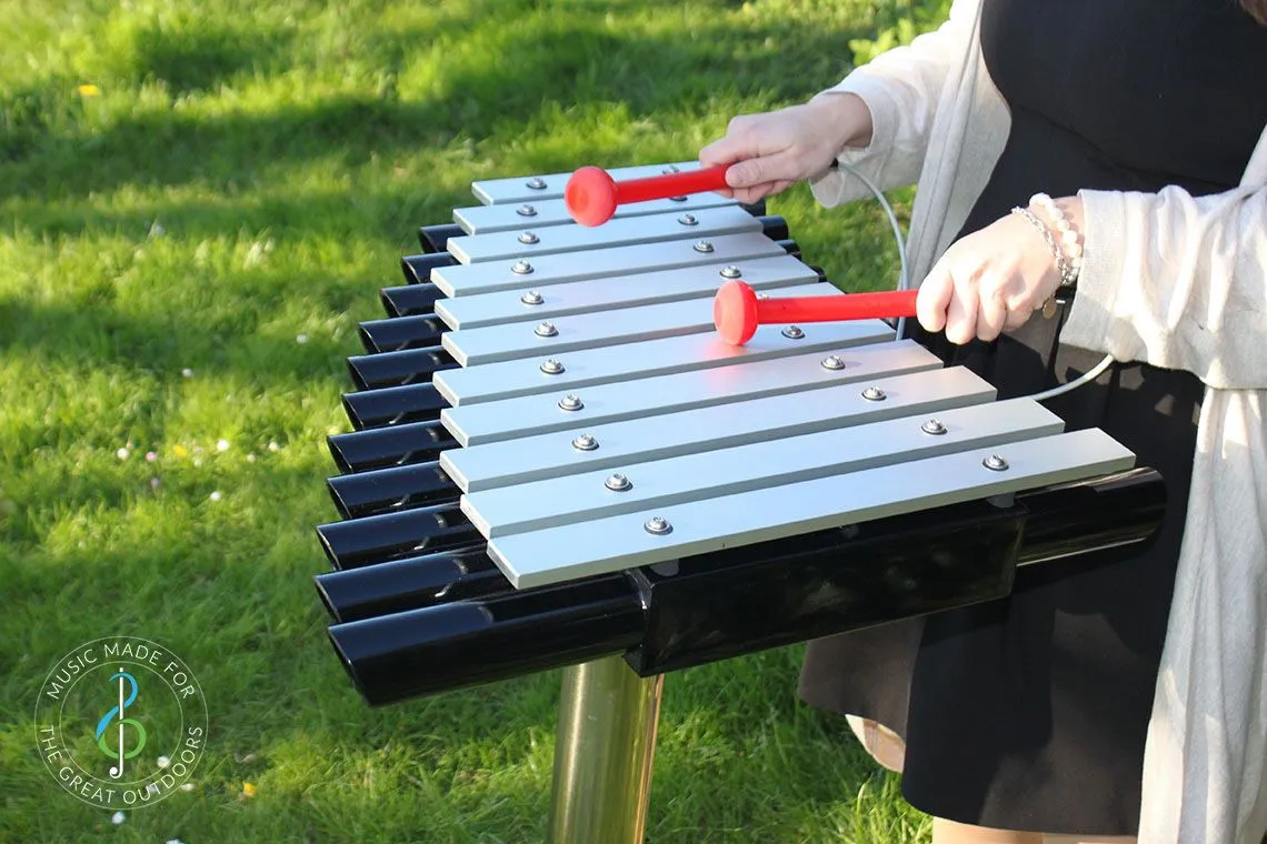 Cadenza - Sensory Garden Musical Instrument