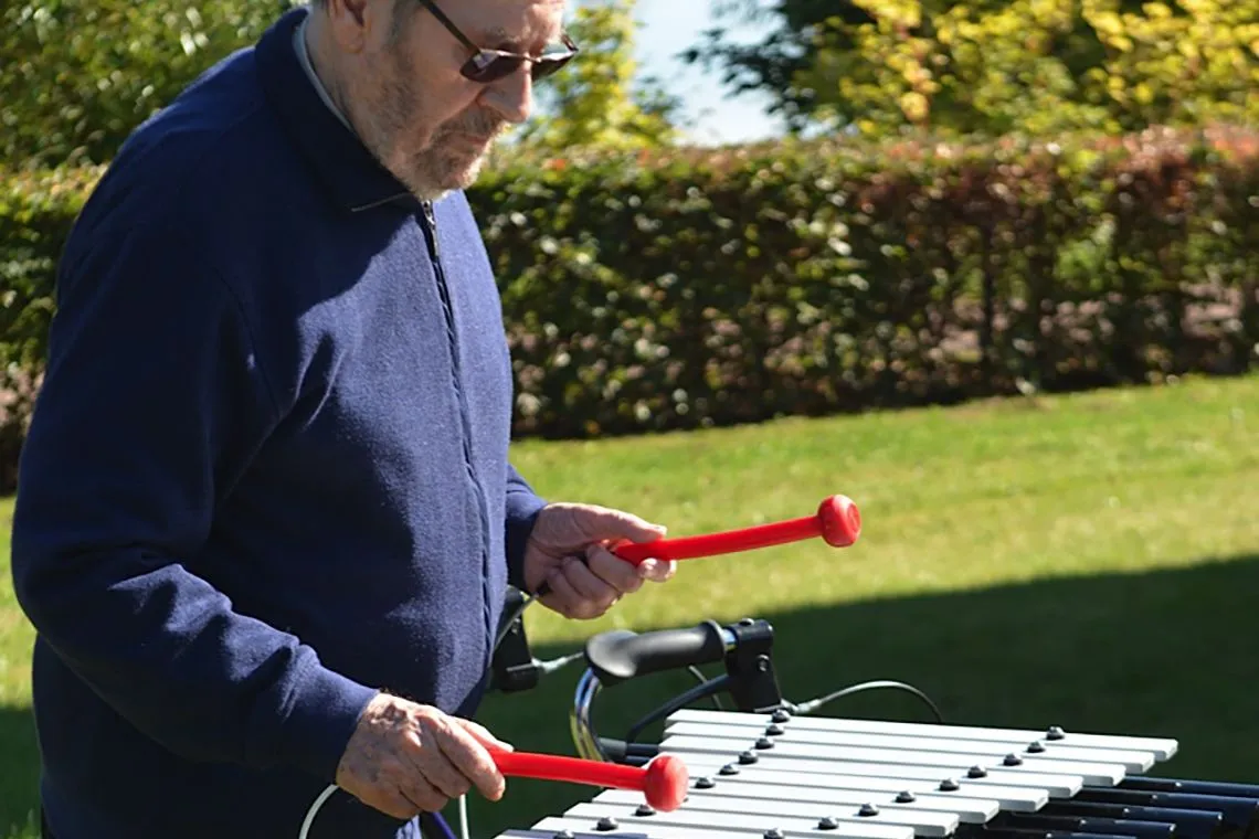 Cadenza - Sensory Garden Musical Instrument