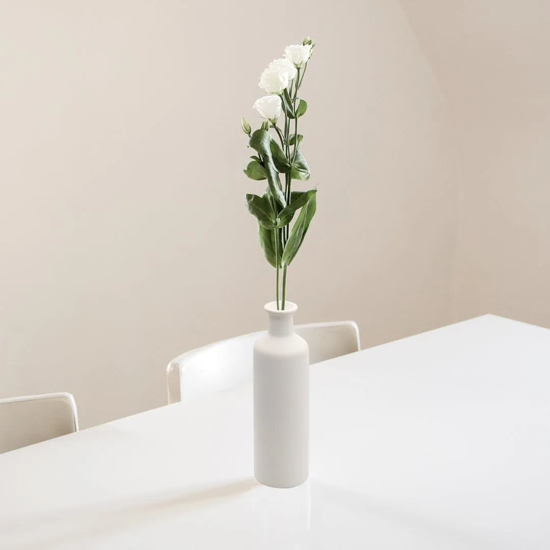 Ceramic Bud Vases, Modern Decorative Vases Small & Tall Vases