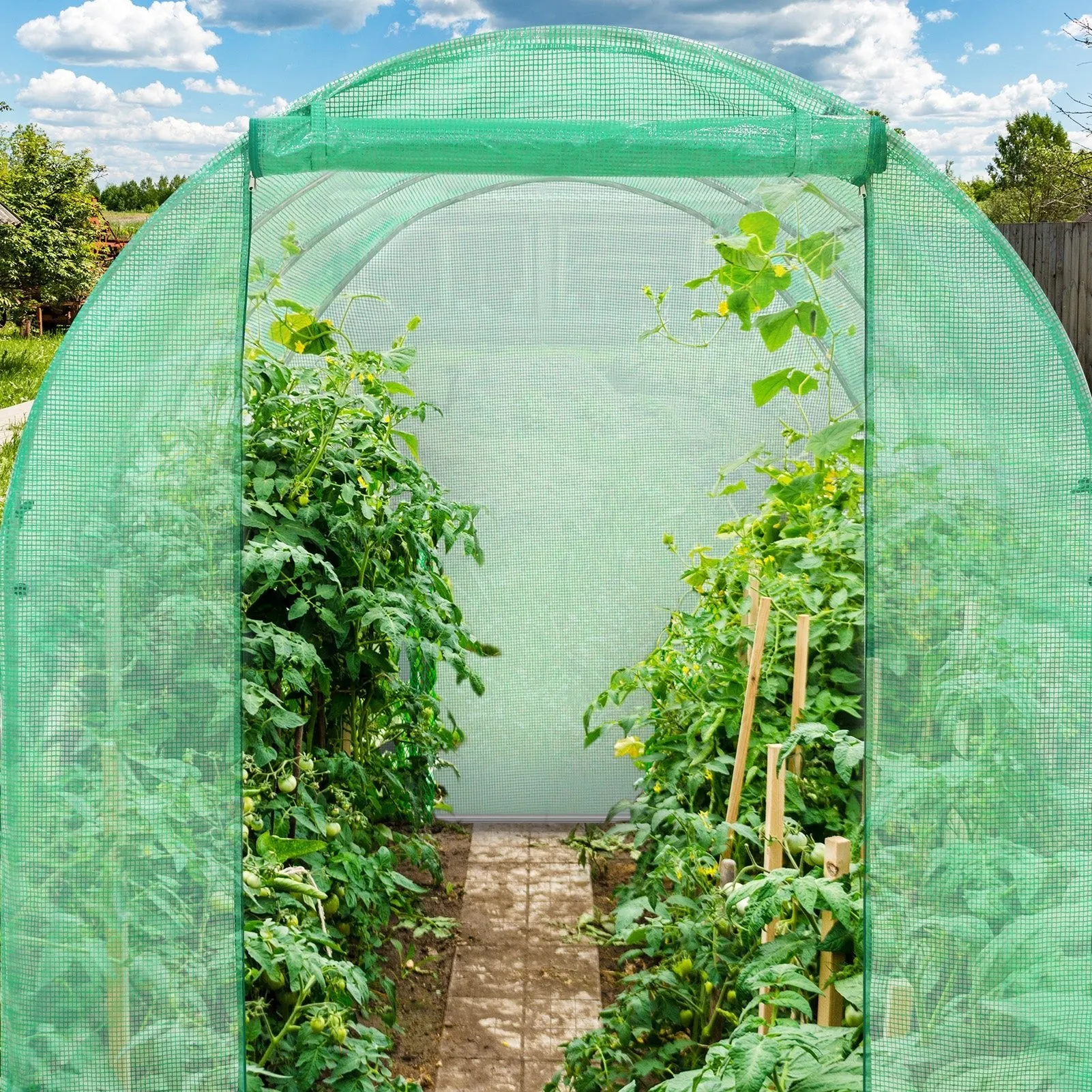 EAGLE PEAK Tunnel Greenhouse Garden Green House with Zippered Door and 6 Roll-up Side Windows, 10'x7'x7