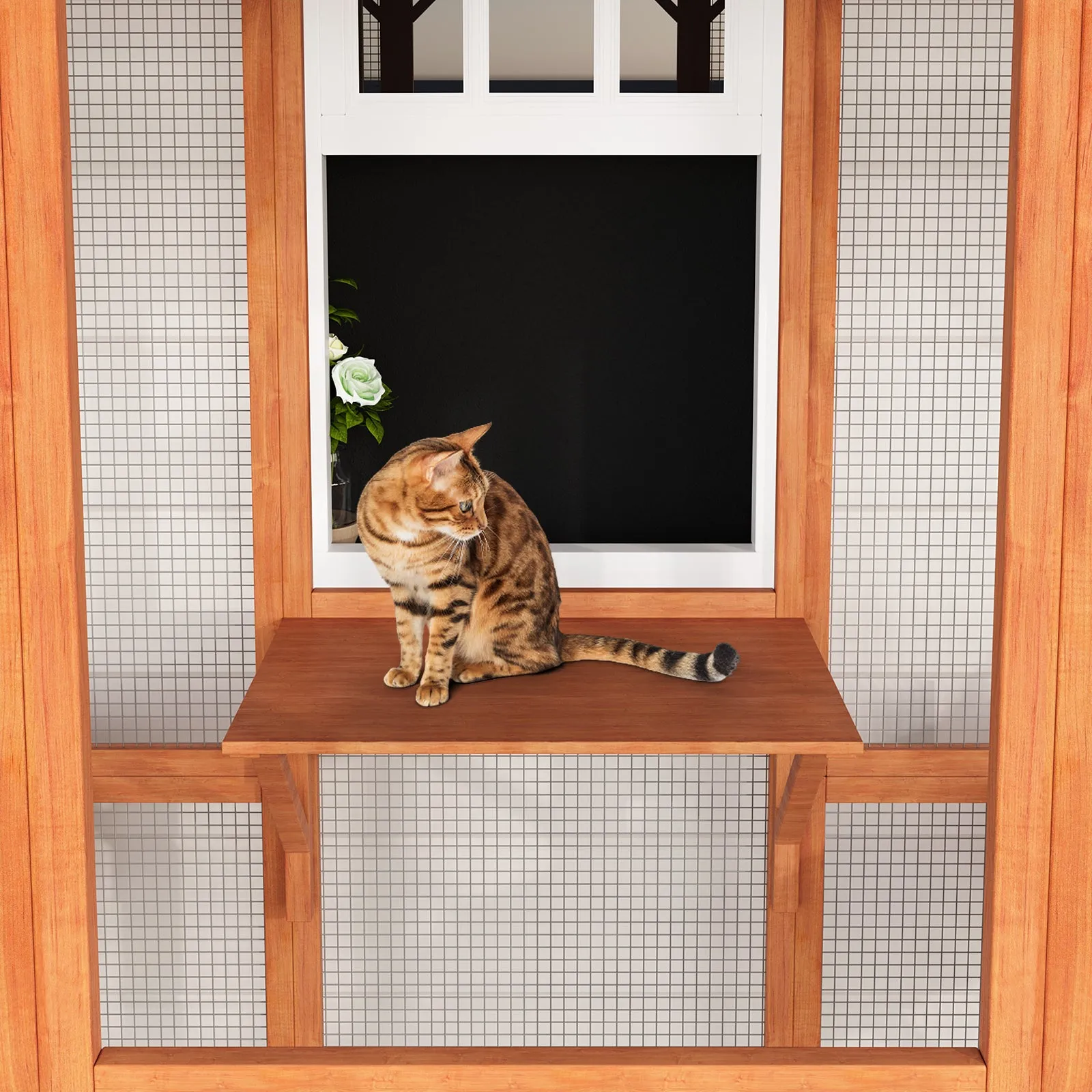 Large Outdoor Cat House Catio with Weather-Resistant Roof - 71"x35"x71"