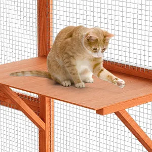 Large Outdoor Cat House Catio with Weather-Resistant Roof - 71"x35"x71"