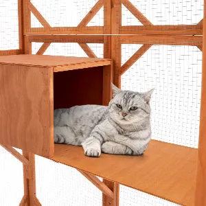 Large Outdoor Cat House Catio with Weather-Resistant Roof - 71"x35"x71"