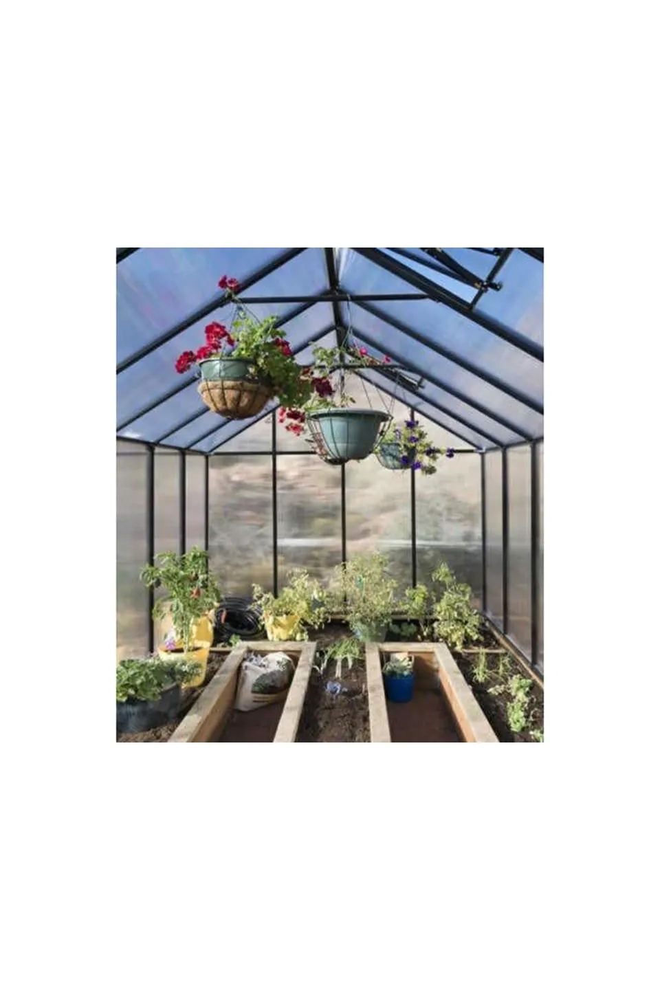 Riverstone MONT Mojave Style Greenhouse 8x20