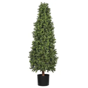 UV Boxwood Cone 48" Topiary