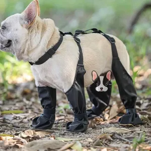 Widdle Waders for Dogs