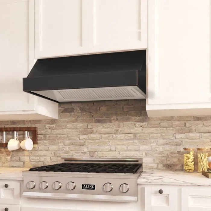 ZLINE 48 in. Designer Series Under Cabinet Range Hood (8685B-48)